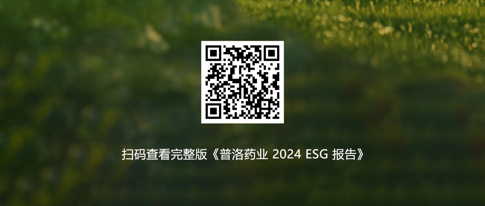 报告链接.jpg